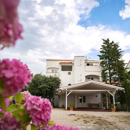 Apartments Ostrea - Mimoza Novalja Zewnętrze zdjęcie